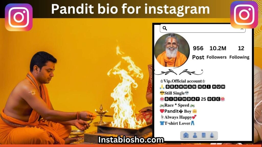 pandit bio for instagram